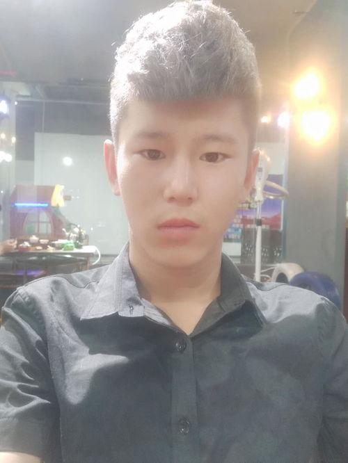 董彦个人资料,科技领域的璀璨新星，创新与担当的典范